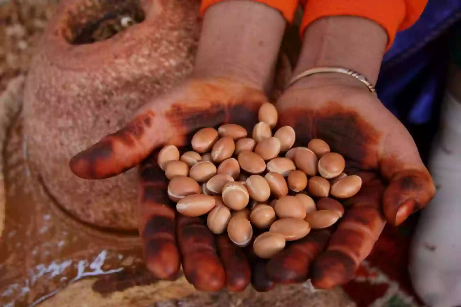 Olio di Argan benefici