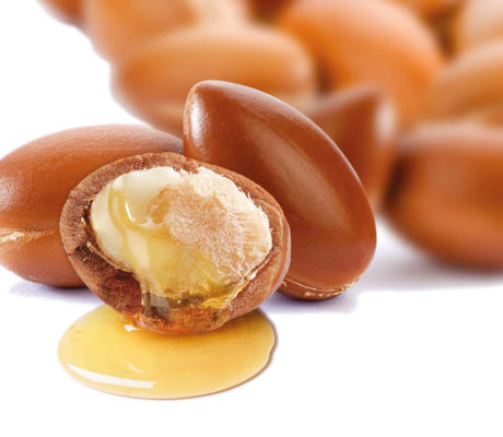 Frutto di Argania spinosa aperto con semi interni e olio che cola, fonte dell&rsquo;olio di Argan puro biologico.