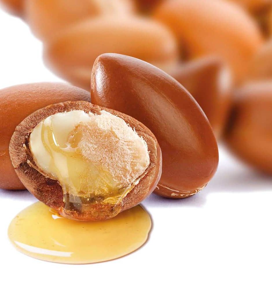 Frutto di Argania spinosa aperto con semi interni e olio che cola, fonte dell’olio di Argan puro biologico.
