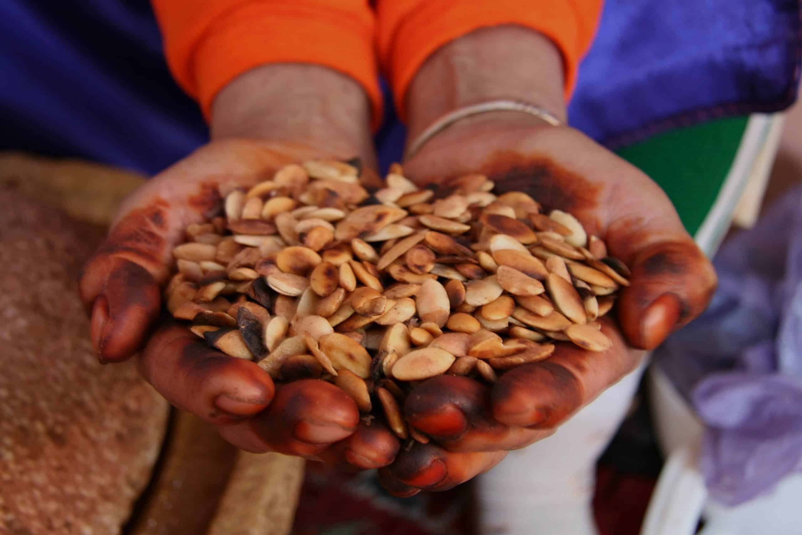 olio di argan propriet&agrave;